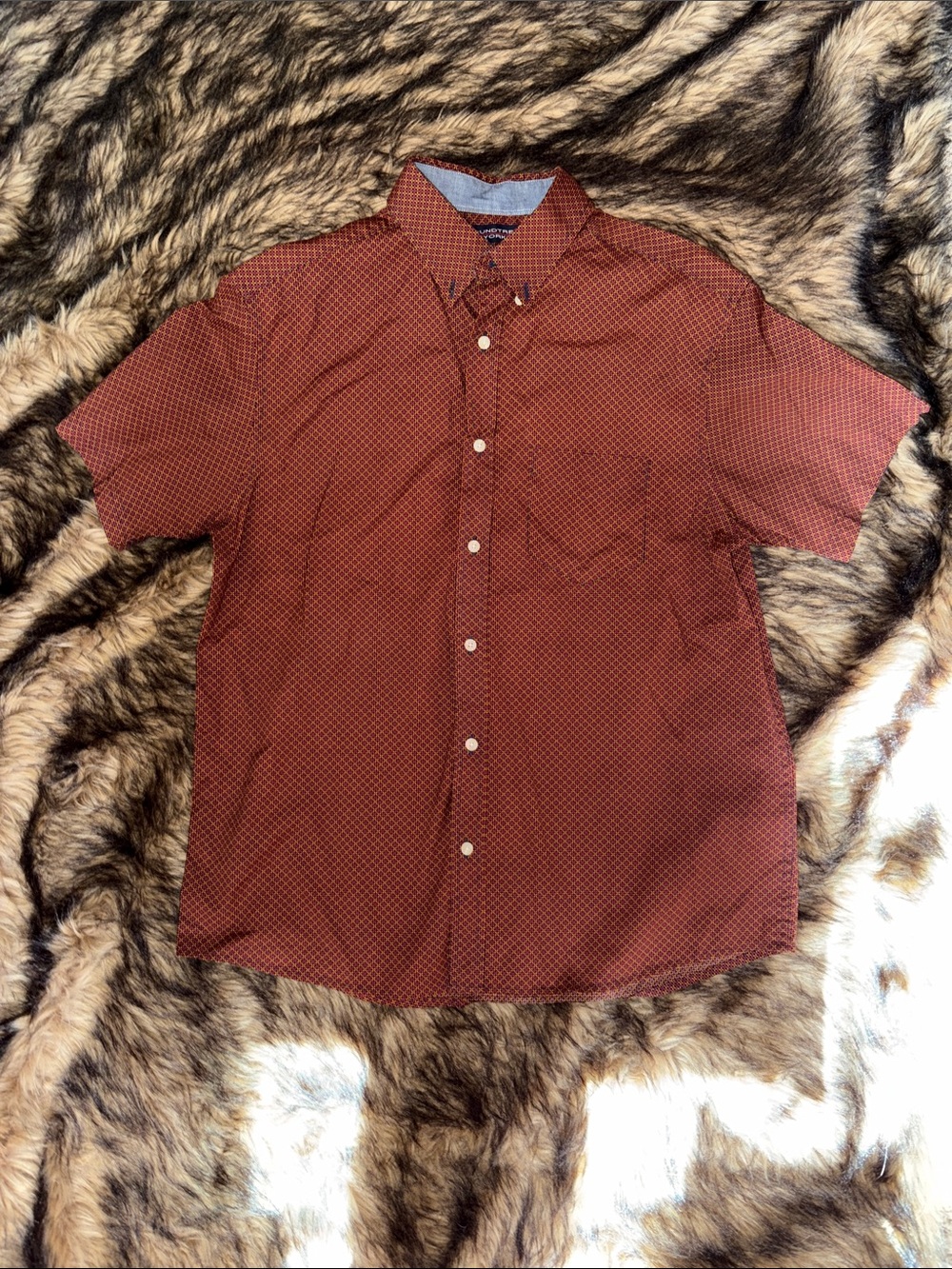 Roundtree & Yorke Short-Sleeve Button-Down Shirt in Rust with Micro Pattern M
